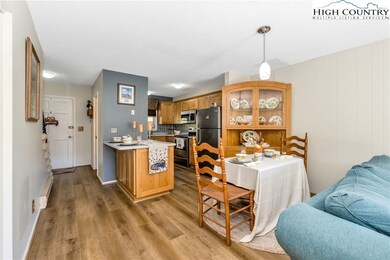 4086 Nettle Knob Rd unit 209, West Jefferson, NC 28694 - photo 7