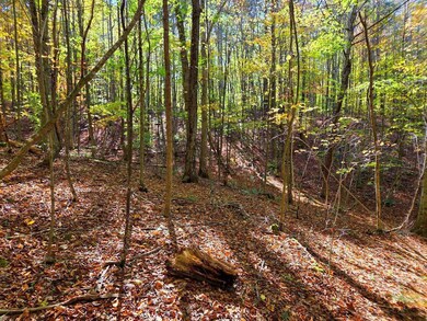 0 Backus Mountain Rd, Meadow Bridge, WV 25976 - photo 7