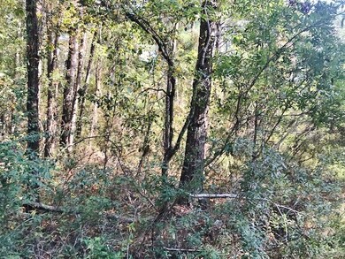 131 Bluebird Ln, Adel, GA 31620 - photo 7