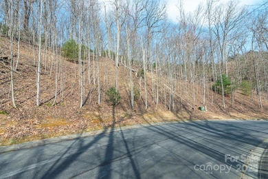 0 Shining Rock Path unit 12 CAR4241175, Horse Shoe, NC 28742 - photo 2