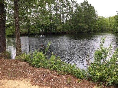 US 1 Us 1 and Hwy 23, Alma, GA 31510 - photo 3