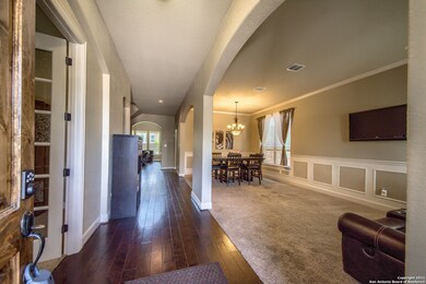 25610 Wentink Ave, San Antonio, TX 78261 - photo 4