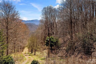 1283 Patsy Creek Rd, Burnsville, NC 28714 - photo 5