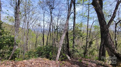 Long range mountain views