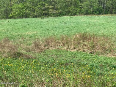 front of lot is cleared