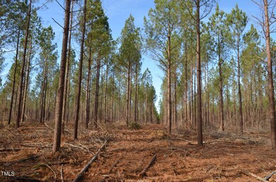 Mollie Mooney Tract 7 Pic3