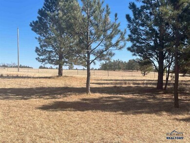 TBD Sundance Dr unit Tr 46 Lone Elk Sub -, West Custer Township, SD 57747 - photo 2