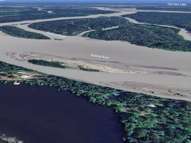 TBD No Name Rd, Trapper Creek, AK 99683 - photo 6