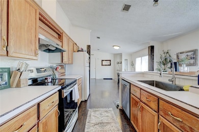 Kitchen with sink, ventilation hood, a textured ce