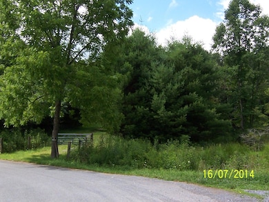 zipdrivephotos 071