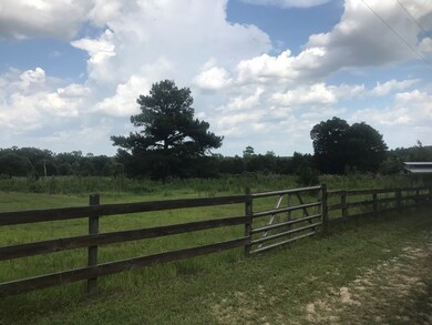 Horse pasture
