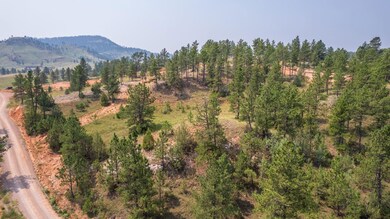 TBD Stardust Pass unit Lot 5, Hot Springs, SD 57747 - photo 5