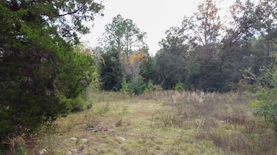 0 NW 30th St unit 796107, Chiefland, FL 32626 - photo 5