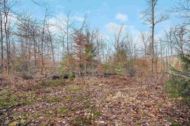 404/91/1A Merrill Rd, Candia, NH 03034 - photo 6