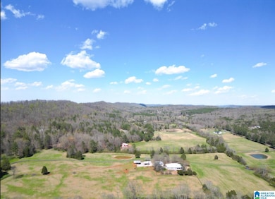 1931 Red Valley Rd, Remlap, AL 35133 - photo 2