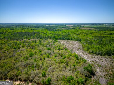 0 Ward Boyette Rd, Bristol, GA 31518 - photo 6