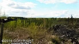 View of Denali