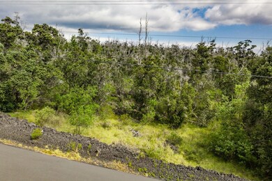 Some nice Ohia trees for privacy if you were to nestle your house back in the trees.