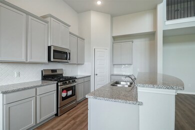 11018 Pecan Pie Dr, Needville, TX 77461 - photo 6