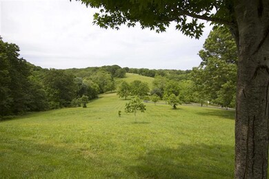 600 Silver Maple Rd, Highlandville, MO 65669 - photo 5