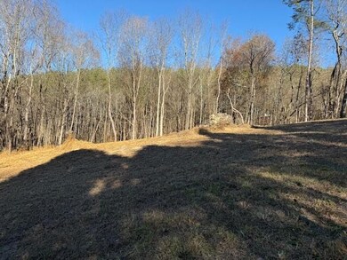 22 Moon Cir, Spring City, TN 37381 - photo 5