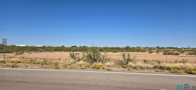 000 Hwy 418 SW, Deming, NM 88030 - photo 2