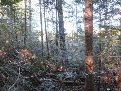 0 Wayne Rd W, Seabeck, WA 98380 - photo 7