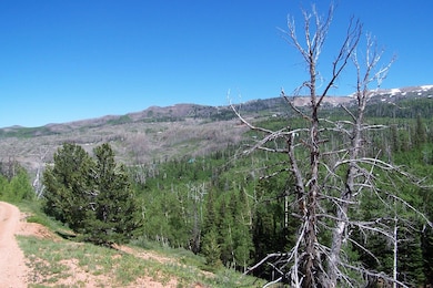 548 W Kokopelli Loop unit SVE U-C B-B-B lot 31, Brian Head, UT 84719 - photo 3