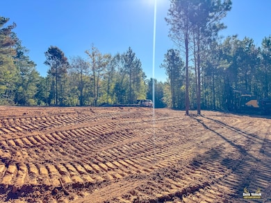 12068 Fm 130, Hughes Springs, TX 75656 - photo 3