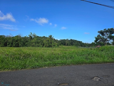 2 Victor Cubero, Quebradillas, PR 00678 - photo 3