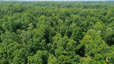 0 Catheys Creek Rd unit 25510509, Hampshire, TN 38461 - photo 3