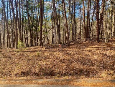 LOT 64 Wolf River Ln, Lake Lure, NC 28746 - photo 3