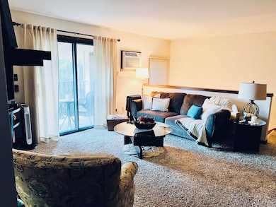 7209 57th Ave unit 202, Kenosha, WI 53142 - photo 7