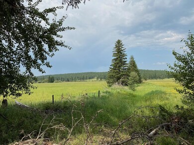 View from build site
