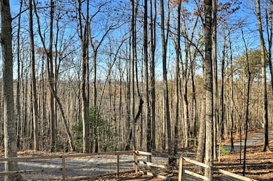 22 Running Bear Ridge, Blue Ridge, GA 30513 - photo 7