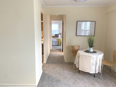 1101 Grove St unit 8C, Evanston, IL 60201 - photo 7