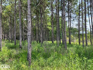 0 Ccc Rd, Lucedale, MS 39452 - photo 5