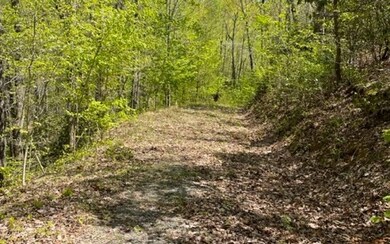 Additional View