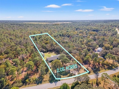 17504 Thomas Blvd, Hudson, FL 34667 - photo 4