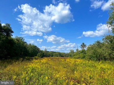 0 Jc Markwood Rd unit WVHD2001136, Old Fields, WV 26845 - photo 3
