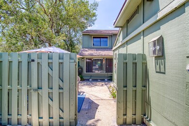 127PineConeTrail-5