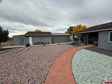 695 NE 2nd St, Cedaredge, CO 81413 - photo 6