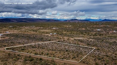 002 N Inyo Dr, White Hills, AZ 86445 - photo 5