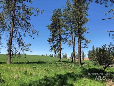 Lot 5 Clark Valley Ct, Weippe, ID 83553 - photo 5