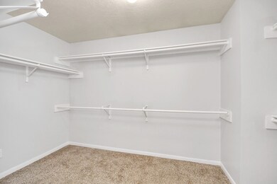 Master Closet