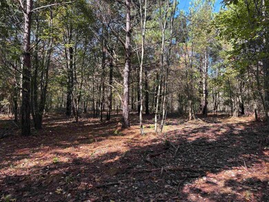 0 Bethuel Rd unit Lot 14, Unincorporated, TN 38053 - photo 7