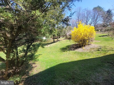 258 Kulps Rd, Barto, PA 19504 - photo 7