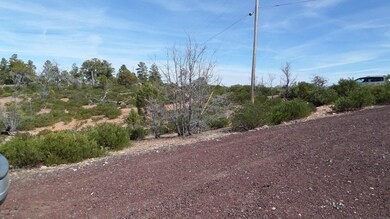 Cindered driveway