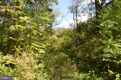 0 Thunderbird Rd unit 1000406219, Bentonville, VA 22610 - photo 2