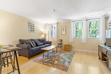 Sumner Hill Condominiums unit 118, Jamaica Plain, MA 02130 - photo 2